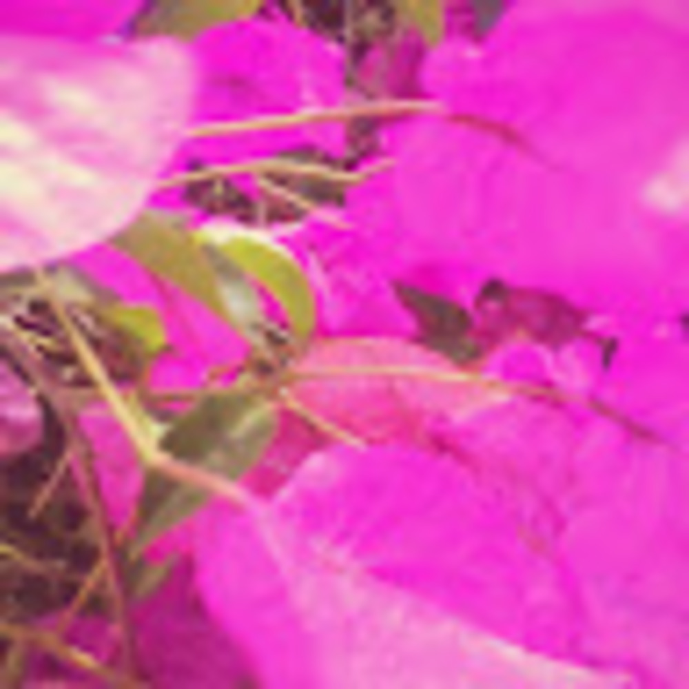 Meet your Posher, Marcia